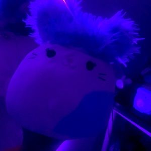 Hey so I’m selling squishmallows